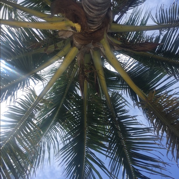 Meet your Posher, Dabney - Picture 1 of 3